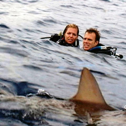 Ein Ehepaar auf Tauchgang: Filmszene aus "Open Water" als Symbolfoto für Tom und Eileen Lonergan