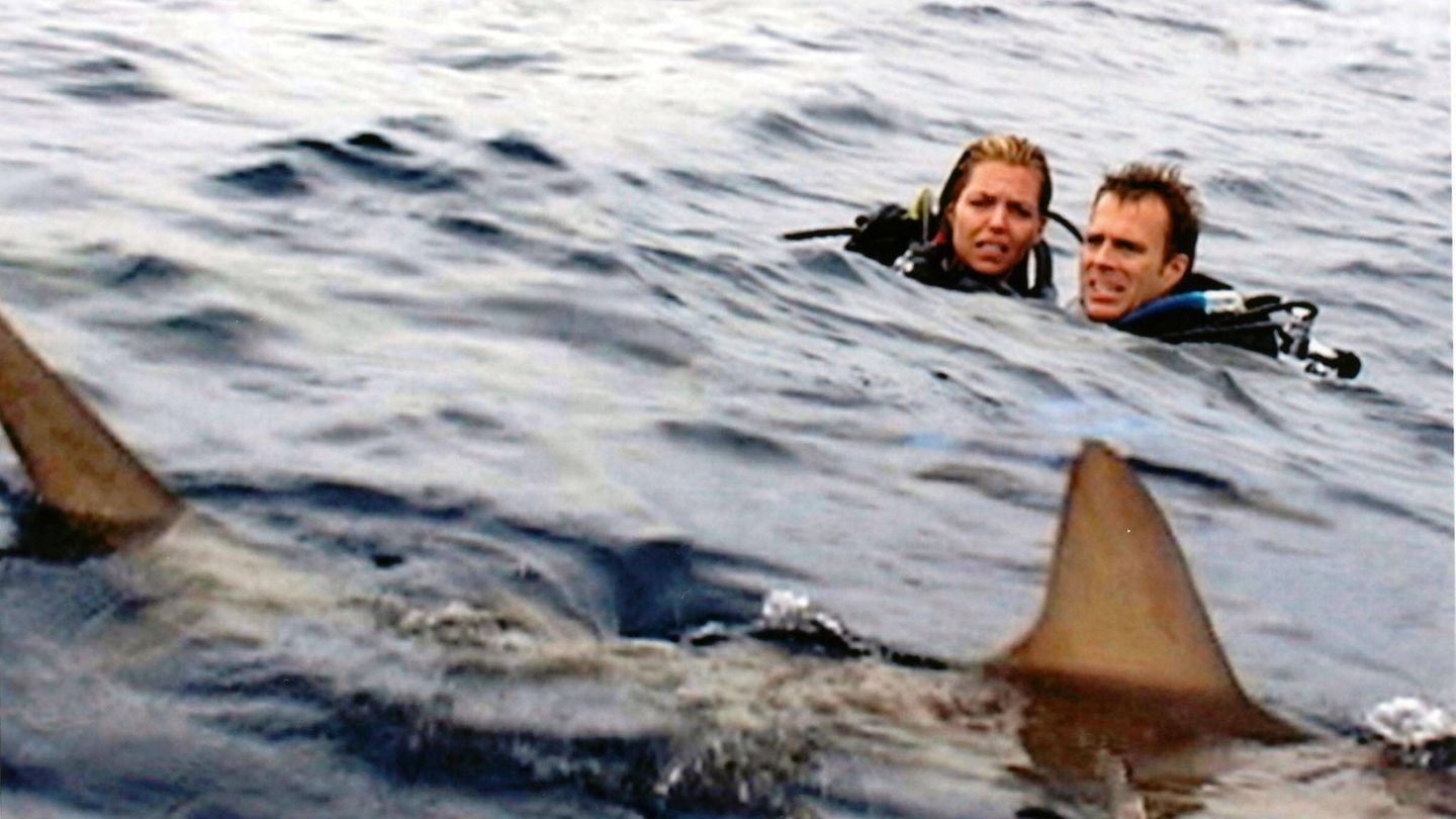 Ein Ehepaar auf Tauchgang: Filmszene aus "Open Water" als Symbolfoto für Tom und Eileen Lonergan