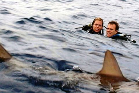 Ein Ehepaar auf Tauchgang: Filmszene aus "Open Water" als Symbolfoto für Tom und Eileen Lonergan