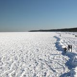 Erstarrtes Meer: Im vergangenen Februar fror nach tagelangem Frost die Ostsee ein.