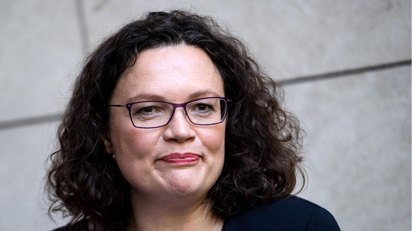 Andrea Nahles is to become the new head of the Federal Employment Agency