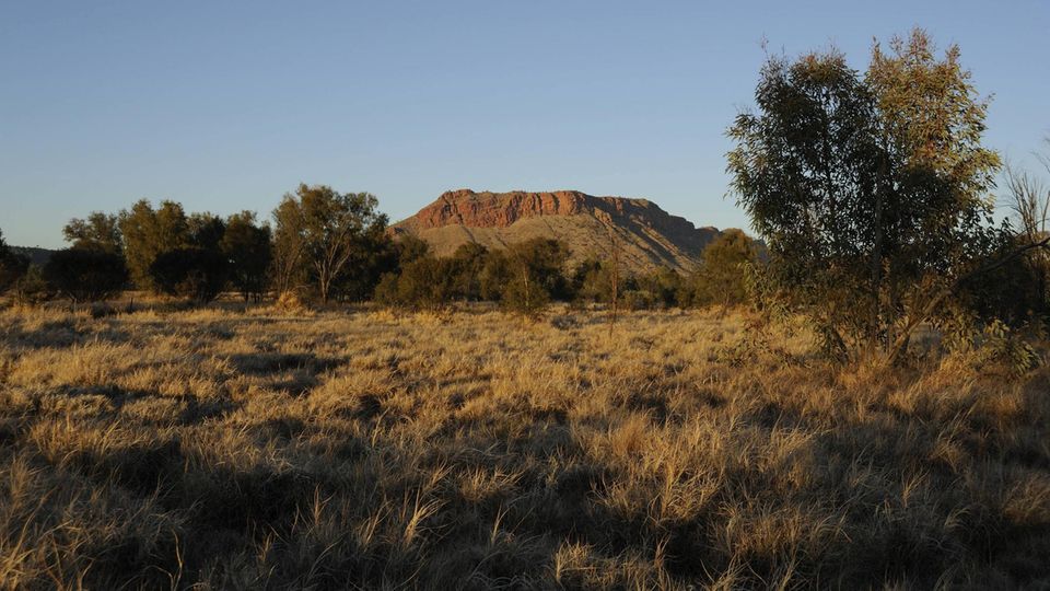 Landschaft in Alice Springs, Australien