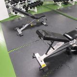 Auf diesen Hantelbänken konnten die Büro-Mitarbeiter einst ihre Muskeln stählen.