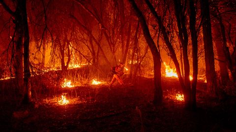 Waldbrände - Klimakrise