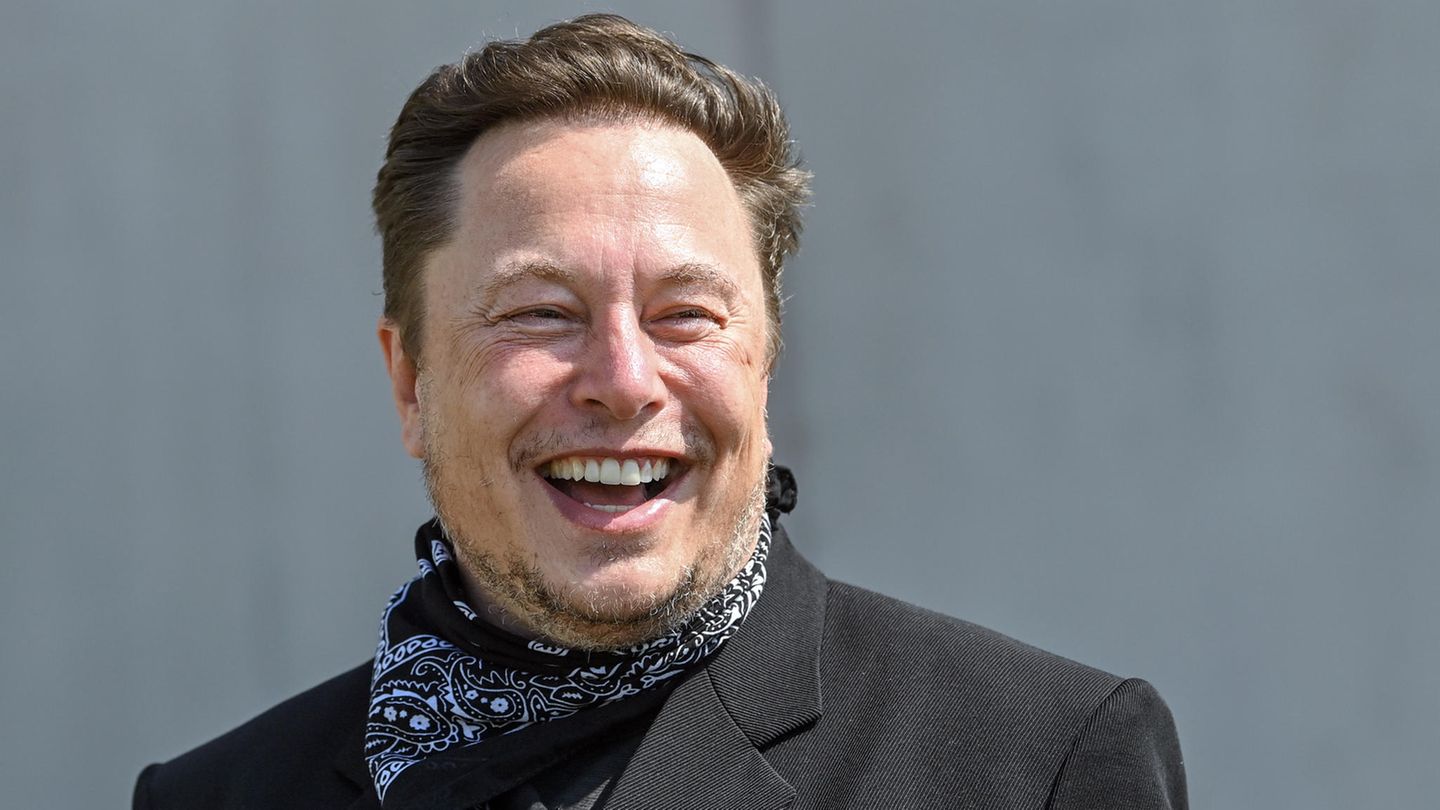 Tesla-CEO Elon Musk