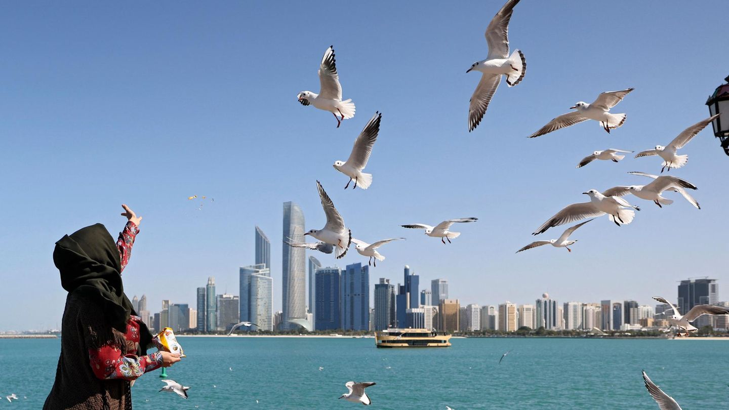 Vereinigte Arabische Emirate Eine Frau mit Kopftuch und in braun-rotem Gewand wirft Futter für Möwen in die Luft. Im Hintergrund das Meer und eine Skyline