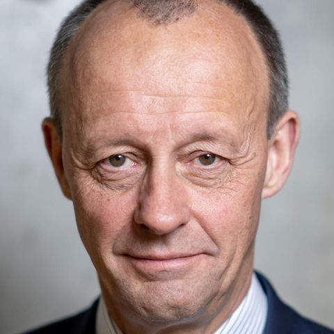 Friedrich Merz und Ralph Brinkhaus