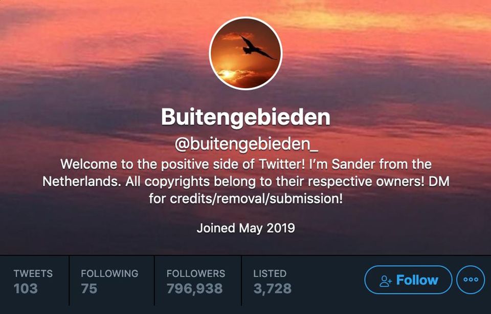 Sander van den Berg: Der Mann, der auf Twitter "Buitengebieden" ist: Er flutet das Internet mit niedlichen Tieren Sander van den Berg: Der Mann, der auf Twitter "Buitengebieden" ist: Er flutet das Internet mit niedlichen Tieren