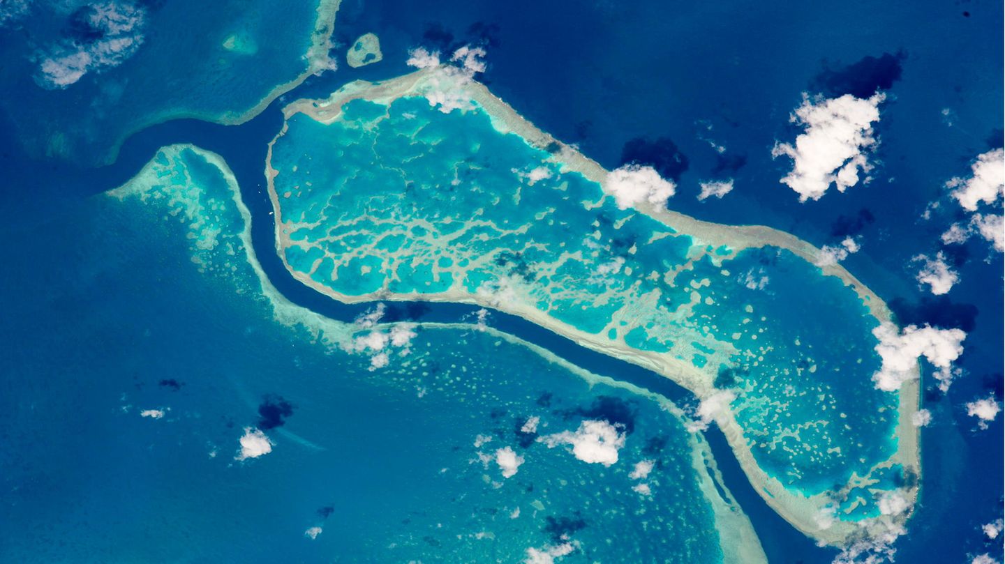 Luftaufnahme des Great Barrier Reefs von der Nasa