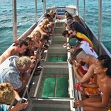 Great Barrier Reef zieht Millionen Touristen an