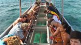 Great Barrier Reef zieht Millionen Touristen an