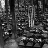 Särge der Opfer werden nach dem Grubenunglück in Luisenthal unweit des Zechengeländes aufgebahrt.