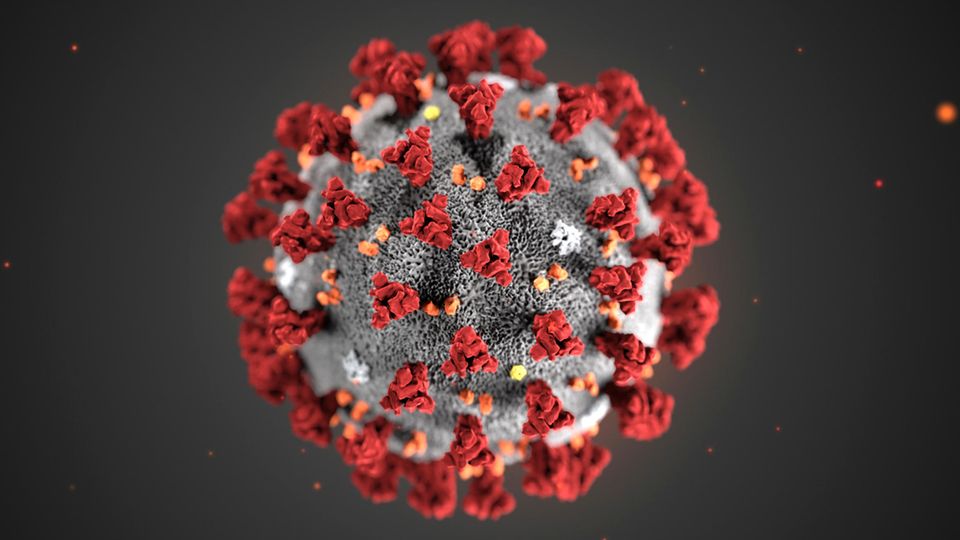 Computergrafik eines Coronavirus in Grau und Rot vor schwarzem Hintergrund