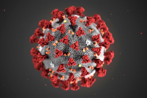Die Computergrafik eines Coronavirus in Grau und Rot vor einem schwarzen Hintergrund
