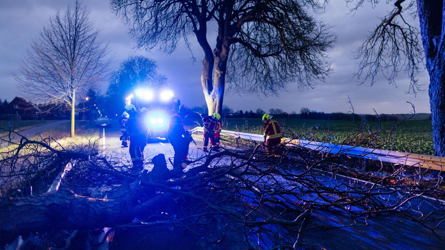 Sturm-Spuren: Einsatzkräfte der Feuerwehr räumen einen umgestürzten Baum auf der Bundesstraße B 208 weg.