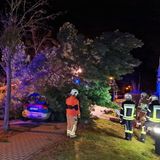 Stahnsdorf in Brandenburg: Feuerwehrleute stehen an einem umgestürzten Baum, der auf ein parkendes Auto gefallen ist