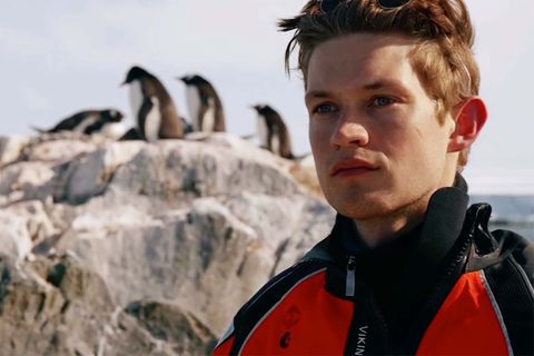 Umweltschutz-Aktion: "How To Safe the World Online (Fast)" – wie ein junger Schauspieler zum Pinguin- und Weltretter werden will