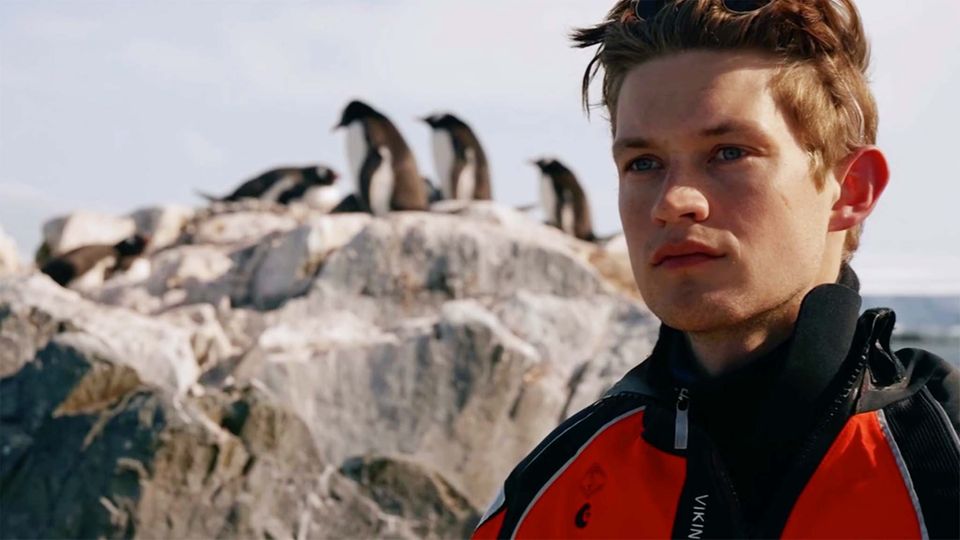 Umweltschutz-Aktion: "How To Safe the World Online (Fast)" – wie ein junger Schauspieler zum Pinguin- und Weltretter werden will Umweltschutz-Aktion: "How To Safe the World Online (Fast)" – wie ein junger Schauspieler zum Pinguin- und Weltretter werden will