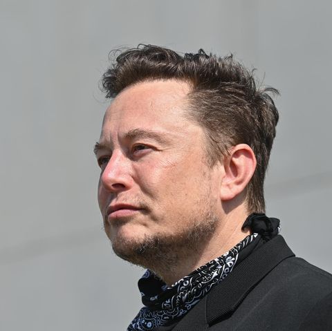 Ein seitliche Portraitaufnahme von Elon Musk