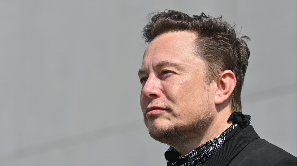 Ein seitliche Portraitaufnahme von Elon Musk