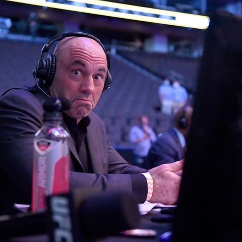 Streaming: Seine Fans schätzen seine Form der Gesprächsführung - Kritikern von Joe Rogan ist sie ein Dorn im Auge