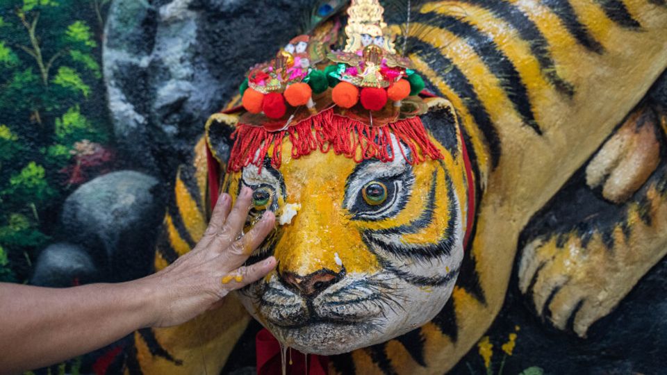 Eine Hand zerbricht ein Ein auf einer hölzernen Tiger-Figur