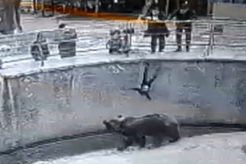 Schockmoment im Zoo: Mutter lässt kleine Tochter in Bärengehege fallen