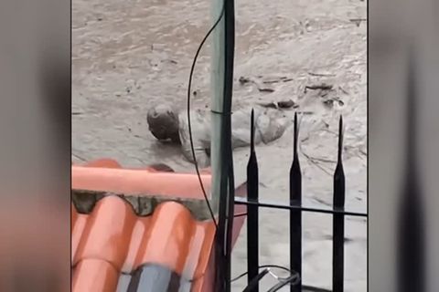 Video: Heftige Regenfälle in Ecuador: der Schlamm riss Menschen mit