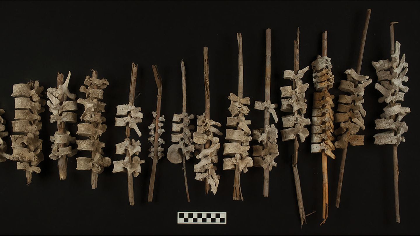 Perú: Fast 500 Jahre alte Skelette entdeckt – sie steckten auf Stöcken