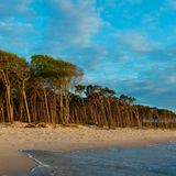 Westküste der Halbinsel Darß