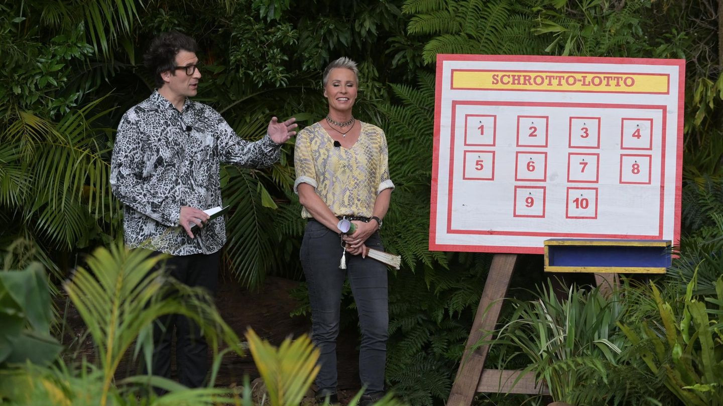 Dschungelcamp 2022: Ja, wer schlängelt sich denn da zur nächsten Dschungelprüfung? Die Moderatoren Sonja Zietlow und Daniel Hartwich erklären Schrott-Lotto und dabei geht es erstaunlicherweise nicht um ihre Outfits. Hartwich trägt ein Hemd im wunderschönen schwarzweiß Leo-Design, da hilft es Zietlow langfristig auch nicht, die Augen vor zu verschließen. Sie selbst glänzt mit einer gelben Schlangen-Kreation, einem Nietengürtel und einer pockenartigen Halskette. Ja wer schlängelt sich denn da zur nächsten Dschungelprüfung? Die Moderatoren Sonja Zietlow und Daniel Hartwich erklären Schrott-Lotto und dabei geht es erstaunlicher Weise nicht um ihre Outfits. Hartwich trägt ein Hemd im wunderschönen schwarzweißen Leo-Design, da hilft es Zietlow langfristig auch nicht, die Augen vor zu verschließen. Sie selbst glänzt mit einer gelben Schlangen-Kreation, einem Nietengürtel und einer pockenartigen Halskette.