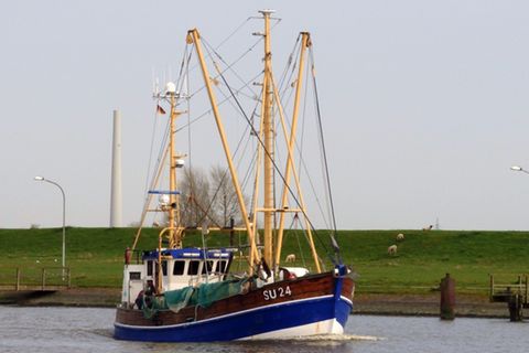 Der Krabbenkutter "SU24 Birte" 2018 auf Husum