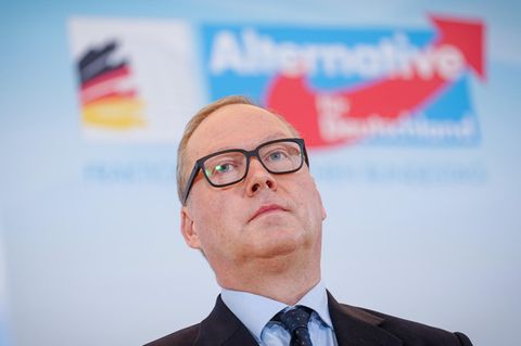 CDU-Politiker Max Otte vor AfD-Logo