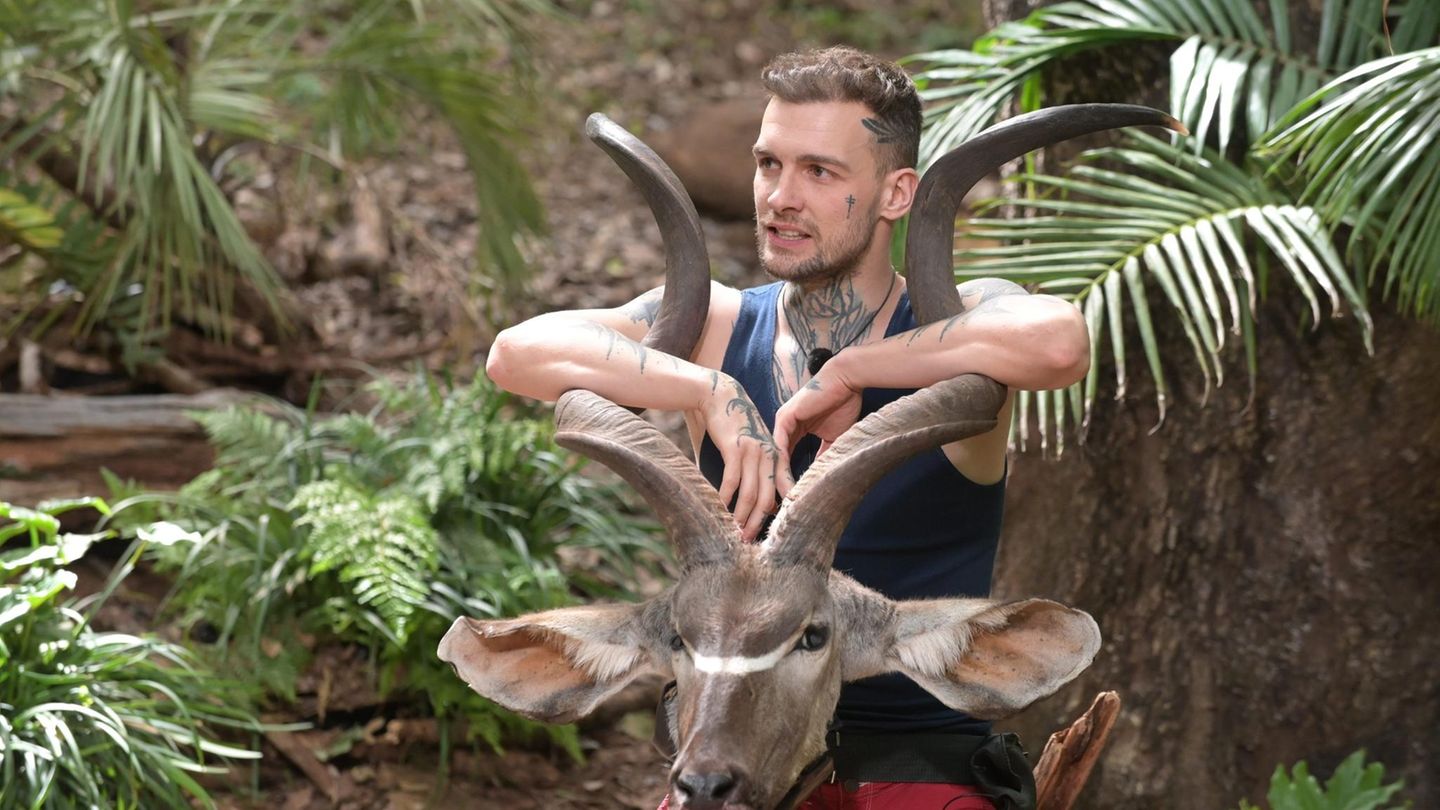 Dann war Eric dran. Zur Prüfung "Porthos" als Hauptgang geladen, durfte er allerlei Leckereien aus der Region kosten. Der Kudukopf war aber leider nicht nur zur Zierde da,...