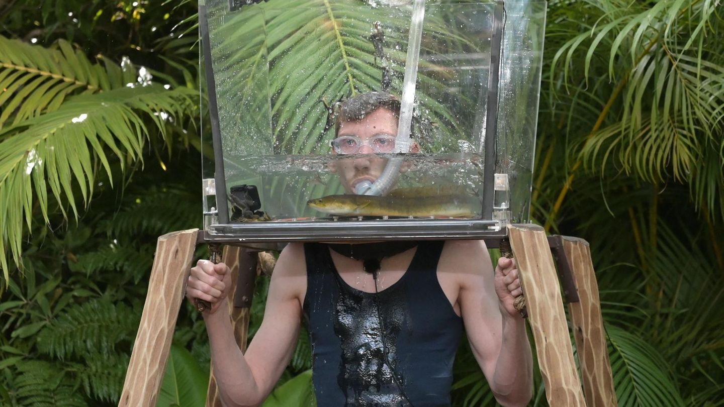 Manuel Flickinger ist für die letzte Prüfung mit dem Titel "Aramis" (Nachspeisen) gefragt. Trotz - oder gerade wegen? - seiner selbsterklärten "Aqua-Phobie" muss er ins Aquarium. Zumindest mit dem Kopf. Damit ihm nicht langweilig wird, sind als Stargäste ein Aal und zehn Krallenfrösche zu Besuch.