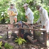 Der künftige König durfte zuerst ran. Seine Prüfung "Athos" (Vorspeisen) machte ihn selbst zum Stern. Mit ausgestreckten Armen und Beinen festgeschnallt, musste er mit jedem Körperteil jeweils in einer anderen Kammer mit ekligen Mitbewohnern aushalten, die vom Dschungelteam vorsichtig hineingelegt wurden.