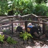 Doch Filip hielt die Tortur wie gefordert ganze zehn Minuten aus - und holte damit fünf Sterne.