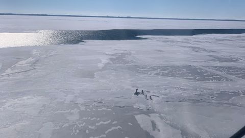 18 Menschen auf Eisscholle im Eriesee im US-Bundesstaat Ohio gestrandet