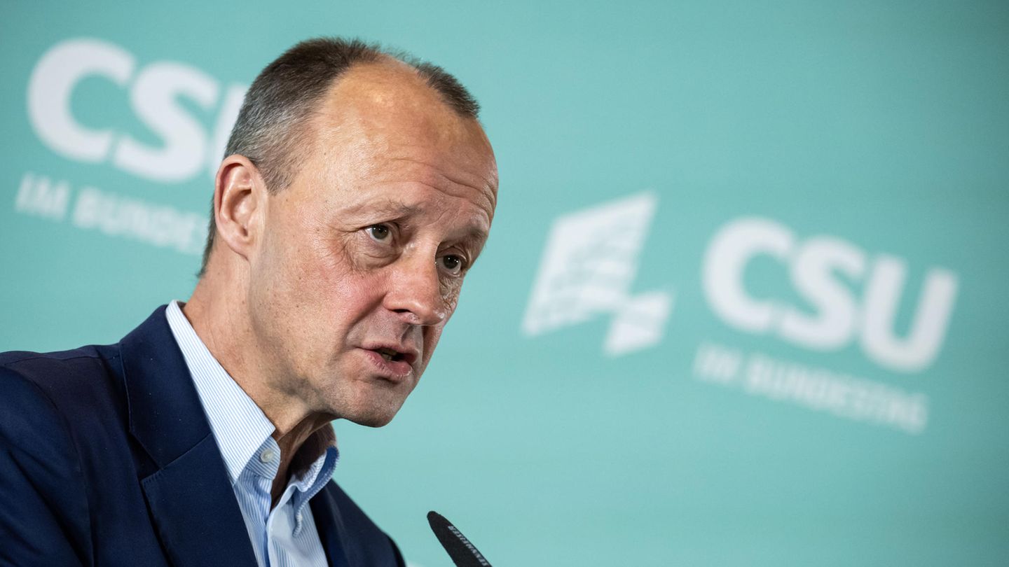CDU-Parteichef Friedrich Merz