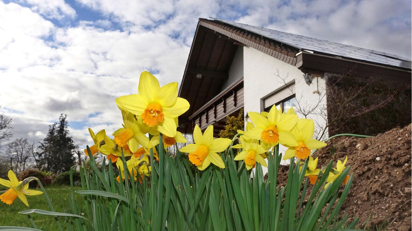 Property tax reform: This is what property owners need to do now