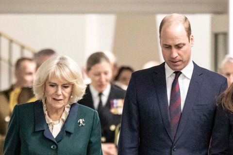 Herzogin Camilla, Prinz William