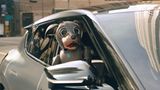 Auch Kia hat wieder einen Super Bowl Werbe-Clip produziert