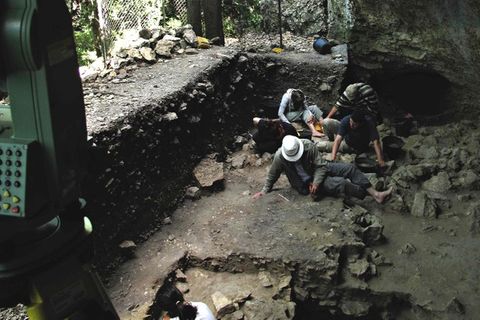 Homo sapiens und Neandertaler könnten koexistiert haben