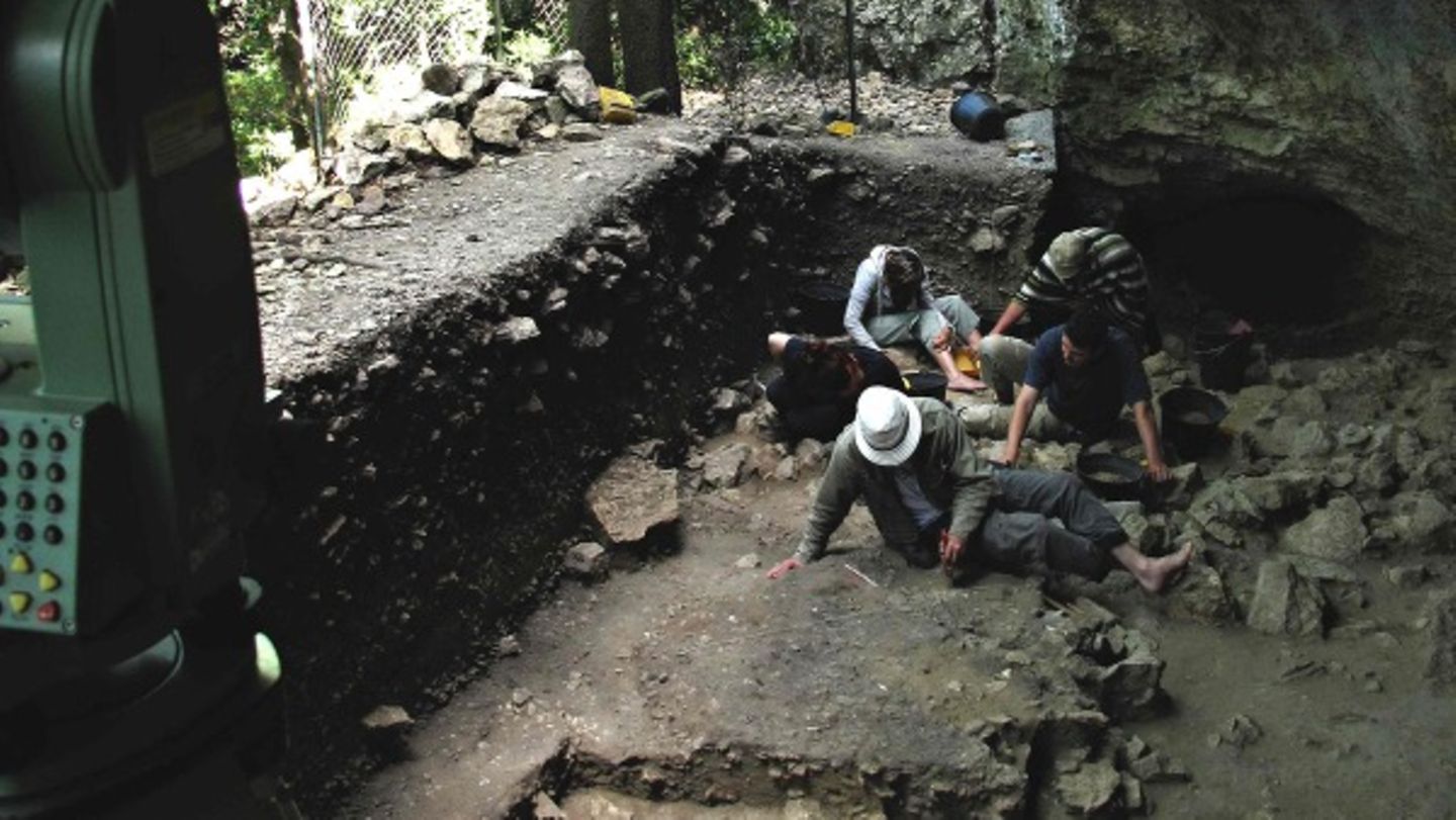 Homo sapiens und Neandertaler könnten koexistiert haben