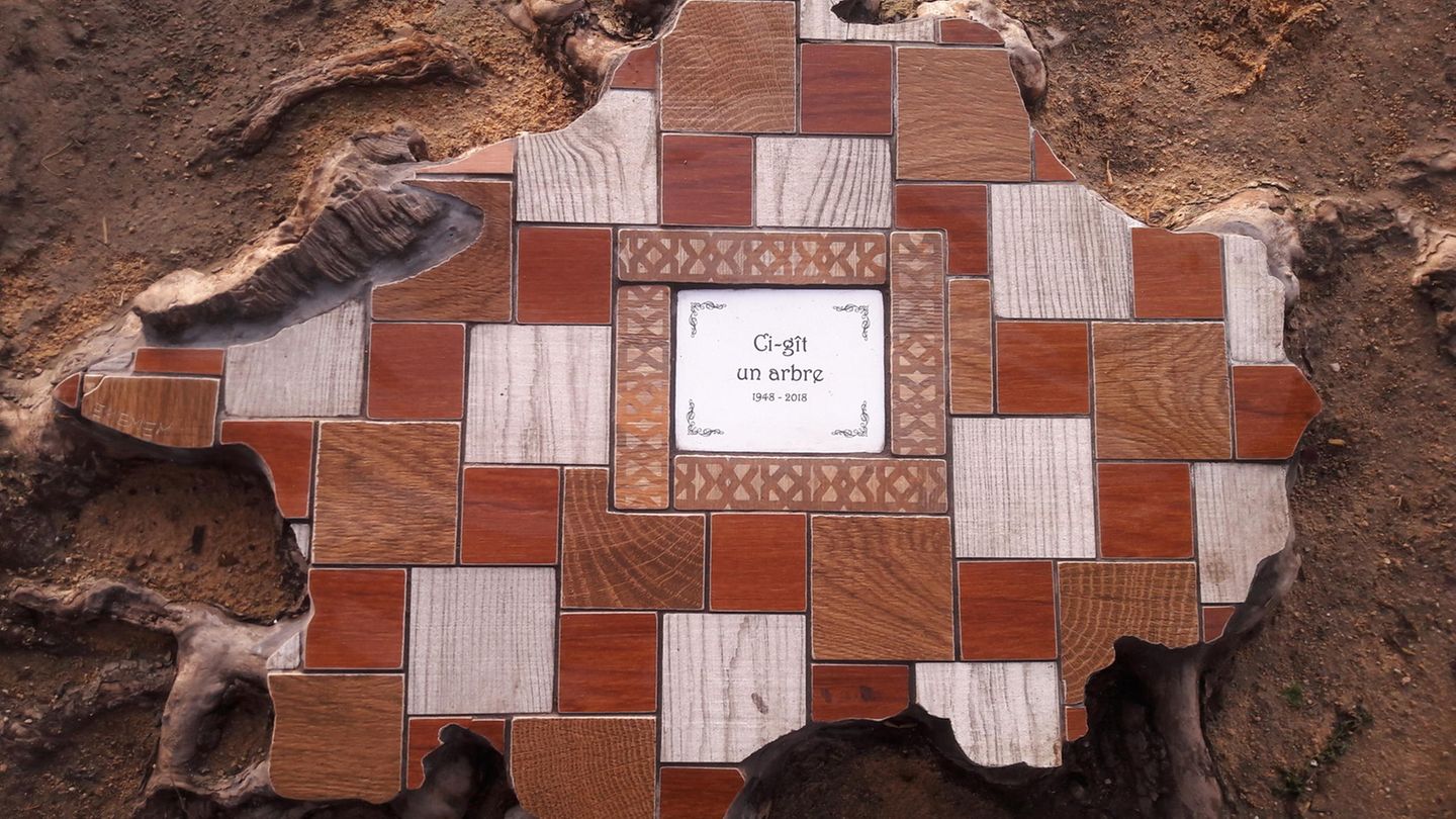 "Hier ruht ein Baum 1948 - 2018" ist auf diesem Mosaik zu lesen, das der Streetart-Künstler auf einen Baumstumpf gesetzt hat