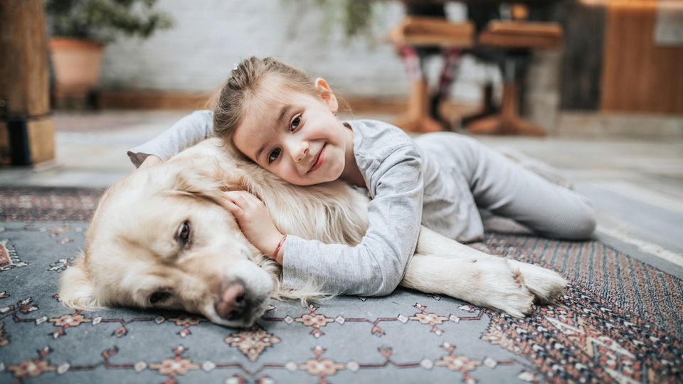 Hunde und Kinder – wer von beiden sorgt für mehr Aufregung zuhause?