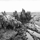 Unterhalb des Schlamms war der Boden im Frühjahr noch geforen.