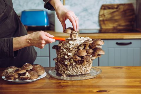 Eine Frau schneidet Shiitake Pilze in der Küche