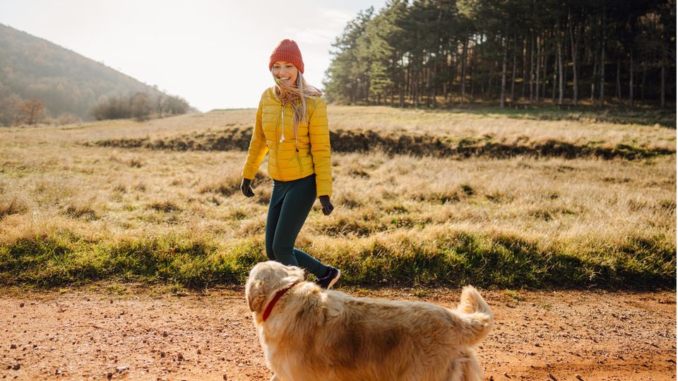 Mithilfe einer Hundepfeife erreichen Sie Ihren Hund beim Freilauf auch über große Distanzen hinweg