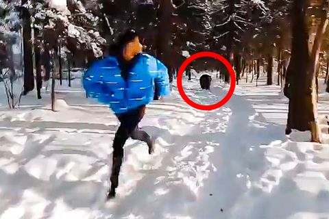Bär hetzt Mann durch Wald – ist das unglaubliche Viral-Video ein Fake?